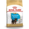 Royal Canin Puppy Yorkshire Terrier 1.5kg Dry Food for Small Breed Puppies with Poultry / Rice