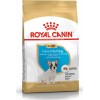 Royal Canin Puppy French Bulldog 3kg Dry Food for Small Breed Puppies with Poultry / Rice